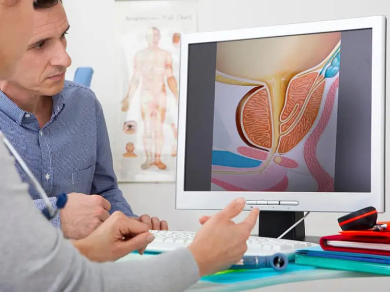 Анатомия на простатата – какво трябва да знаете?