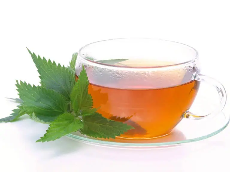 природата срещу уголемена простата