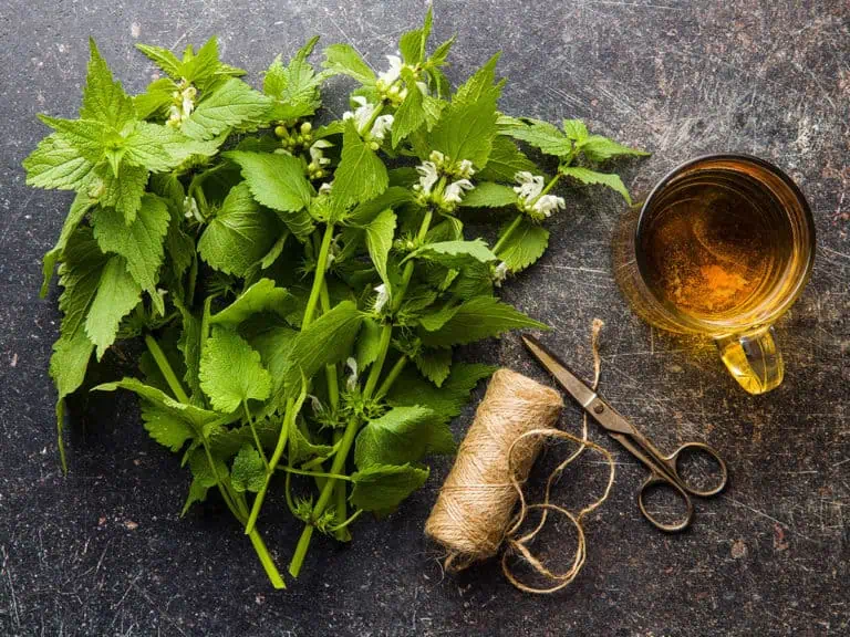 Домашни лекове срещу често уриниране при мъжете